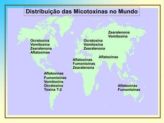 Ocratoxina
Vomitoxina
Zearalenona
Aflatoxinas
Aflatoxinas
Fumonisinas
Vomitoxina
Ocratoxina
Toxina T-2
Aflatoxinas
Fumonisinas
Zearalenona
Ocratoxina
Vomitoxina
Zearalenona
Zearalenona
Vomitoxina
Aflatoxinas
Fumonisinas
Aflatoxinas
Distribuição das Micotoxinas no Mundo
 