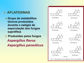 AFLATOXINAS
Produzidas pelos fungos
Aspergillus flavus
Aspergillus parasiticus
Grupo de metabólitos
tóxicos produzidos
durante o estágio de
esporulação dos fungos
saprófitos
 