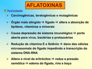 AFLATOXINAS
Toxicidade
 Carcinogênicas, teratogênicas e mutagênicas
 Órgão mais atingido  fígado  altera a absorção de
lipídeos, vitaminas e minerais
 Causa depressão do sistema imunológico  porta
aberta para vírus, bactérias e protozoários
 Redução de vitamina E e Selênio  dano das células
microssomais do fígado impedindo a transcrição do
sistema DNA-RNA
 Altera o nível de eritrócitos  reduz a pressão
osmótica  edema do fígado, rins e baço
 