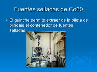 Fuentes selladas de Co60 El guinche permite extraer de la pileta de blindaje el contenedor de fuentes selladas. 