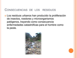 Consecuencias  de  los   residuos Los residuos urbanos han producido la proliferación de insectos, roedores y microorganismos patógenos, trayendo como consecuencia enfermedades catastróficas para el hombre como la peste.