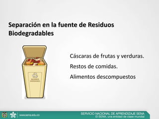 Separación en la fuente de Residuos
Biodegradables
Cáscaras de frutas y verduras.
Restos de comidas.
Alimentos descompuestos
 