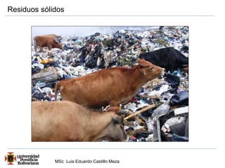 Residuos sólidos 
MSc Luis Eduardo Castillo Meza 
 