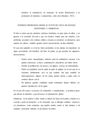 beneficia la estimulación de sustancias de acción fitohormonal y la
producción de vitaminas y aminoácidos, entre otros (Ramírez. 2011)
POSIBLES PROBLEMAS DESDE EL PUNTO DE VISTA DE MANEJO
SOSTENIBLE Y AMBIENTAL
Sí bien es cierto que las anteriores prácticas benefician en gran parte al cultivo y en
general a la economía del país y que son técnicas usadas para dar solución a los
problemas asociados a los residuos sólidos y de paso se convierten en alternativas para
mejorar los cultivos, también generan ciertos inconvenientes de tipo ambiental.
El caso más palpable es el de los lodos producidos en las plantas de tratamiento de
aguas provenientes del beneficio del fruto de palma ya que produce los siguientes
inconvenientes:
- Genera olores nauseabundos molestos para los pobladores cercanos a las
plantas extractoras, es decir, contaminación atmosférica por malos olores
- Permite la proliferación de moscas y de algunos vectores de enfermedades
- Puede ser perjudicial para la salud de quién lo aplique en el caso que no se
encuentre debidamente seco ya que contiene una gran cantidad de
microorganismos algunos de los cuales pueden afectar a quién entre en
contacto directo con él.
- De aplicarse grandes cantidades puede contaminar fuentes hídricas y/o
generar eutroficación de las aguas.
En el caso del cuesco, su proceso de combustión o calentamiento, se producen gases
que afectan la atmósfera y que favorecen el calentamiento global.
Finalmente, en las paleras o sitios donde se ubican las hojas de la palma cortadas en a
cosecha o poda de formación, se ha vivenciado que se albergan animales venenosos
y/o ponzoñosos como serpientes que pueden atentar contra la vida humana o de
cualquier semoviente utilizado en las laboras de cultivo.
 