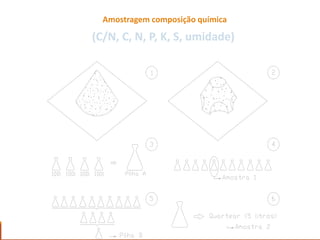 Amostragem composição química
(C/N, C, N, P, K, S, umidade)
24/02/2017 42
 