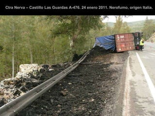 Ctra Nerva – Castillo Las Guardas A-476. 24 enero 2011. Nerofumo, origen Italia. 