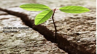 ORIGEN DEL TÉRMINO
RESILIENSIA
 