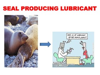 SEAL PRODUCING LUBRICANT
 