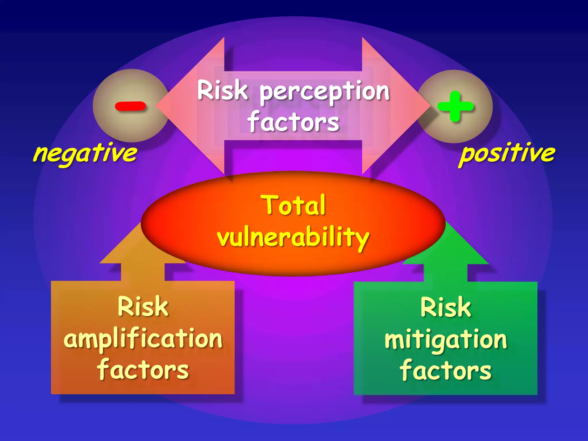  public informationAbsorbing the shock throughthe humanecologyofadaptationtohazards:anurbanexampleofinherentresilienceLandslide