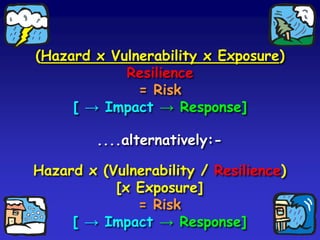Vulnerability the potential for harm or losses  (medical, social, economic, psychological) something that is constructed socially