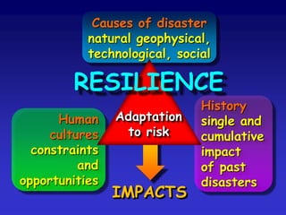  a complex holistic phenomenon composed  of different categories and parts the inverse of capability and resilience.ImpactResponseHazardExposurexVulnerability= Risk
