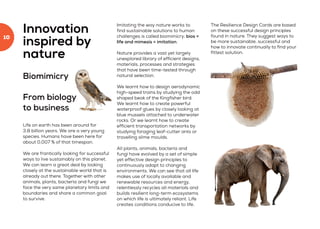 Innovation
inspired by
nature
Biomimicry
From biology
to business
Life on earth has been around for
3.8 billion years. We are a very young
species. Humans have been here for
about 0,007 % of that timespan.
We are frantically looking for successful
ways to live sustainably on this planet.
We can learn a great deal by looking
closely at the sustainable world that is
already out there. Together with other
animals, plants, bacteria and fungi we
face the very same planetary limits and
boundaries and share a common goal:
to survive.
Imitating the way nature works to
find sustainable solutions to human
challenges is called biomimicry; bios =
life and mimesis = imitation.
Nature provides a vast yet largely
unexplored library of efficient designs,
materials, processes and strategies
that have been time-tested through
natural selection.
We learnt how to design aerodynamic
high-speed trains by studying the odd
shaped beak of the Kingfisher bird.
We learnt how to create powerful
waterproof glues by closely looking at
blue mussels attached to underwater
rocks. Or we learnt how to create
efficient transportation networks by
studying foraging leaf-cutter ants or
travelling slime moulds.
All plants, animals, bacteria and
fungi have evolved by a set of simple
yet effective design principles to
continuously adapt to changing
environments. We can see that all life
makes use of locally available and
renewable resources and energy,
relentlessly recycles all materials and
builds resilient long-term ecosystems
on which life is ultimately reliant. Life
creates conditions conducive to life.
The Resilience Design Cards are based
on these successful design principles
found in nature. They suggest ways to
be more sustainable, successful and
how to innovate continually to find your
fittest solution.
10
 
