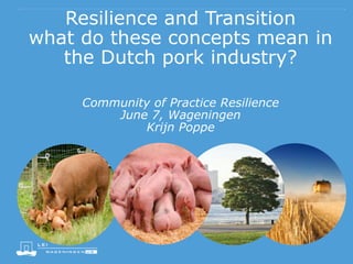 Resilience and Transition
what do these concepts mean in
the Dutch pork industry?
Community of Practice Resilience
June 7, Wageningen
Krijn Poppe
 