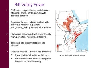 Measuring and evaluating resilience in drylands of East Africa: Managing impacts from infectious disease outbreaks 