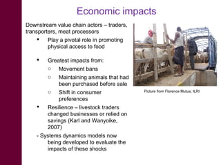 Measuring and evaluating resilience in drylands of East Africa: Managing impacts from infectious disease outbreaks 