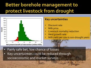 An applied information economics approach to assessing resilience in the Horn of Africa
