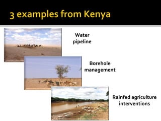 An applied information economics approach to assessing resilience in the Horn of Africa
