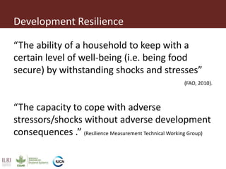 Measuring development process resilience:  A test from northern Kenya