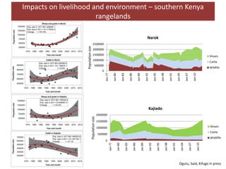 Measuring resilience—Understanding trends in land cover changes and their potential impacts on pastoral communities