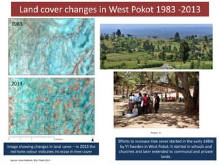 Measuring resilience—Understanding trends in land cover changes and their potential impacts on pastoral communities