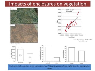Measuring resilience—Understanding trends in land cover changes and their potential impacts on pastoral communities