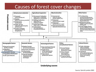 Measuring resilience—Understanding trends in land cover changes and their potential impacts on pastoral communities