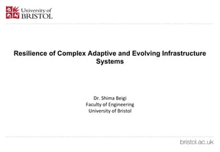 Resilience of Complex Adaptive and Evolving Infrastructure
Systems
Dr. Shima Beigi
Faculty of Engineering
University of Bristol
 
