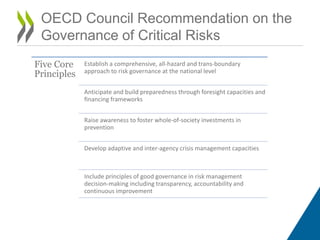Boosing Resilience Through Innovative Risk Governance - OECD Report | PDF