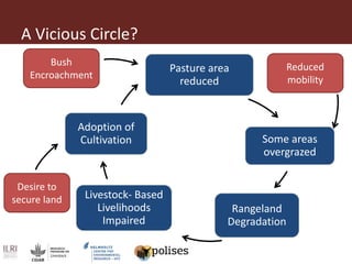 Combining simulations, social science, and stakeholder engagement for improved social-ecological systems analysis: Insights from a pastoralist landscape in southern Ethiopia