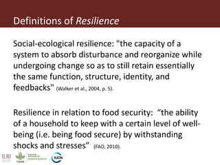 Resilience and sustainable development: Insights from the drylands of eastern Africa