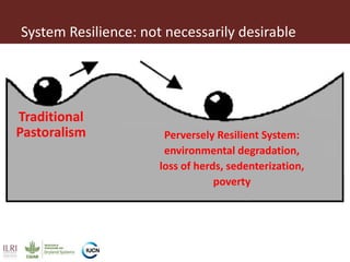 Resilience and sustainable development: Insights from the drylands of eastern Africa