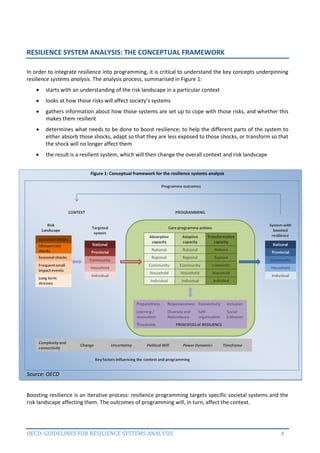 Guidelines for Resilience Systems Analysis: How to analyse risk and ...