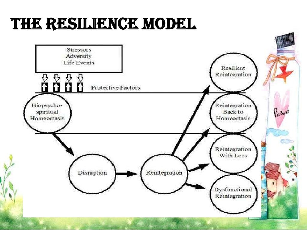 Resilience theory