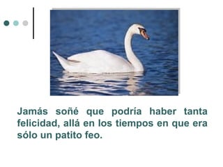 Jamás soñé que podría haber tanta felicidad, allá en los tiempos en que era sólo un patito feo. 