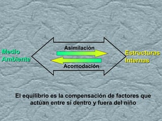 Asimilación
Acomodación
EstructurasEstructuras
InternasInternas
MedioMedio
AmbienteAmbiente
El equilibrio es la compensación de factores que
actúan entre sí dentro y fuera del niño
 