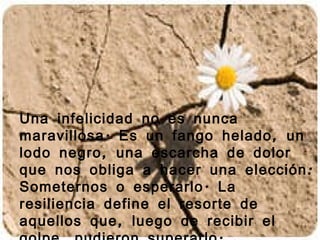 Una infelicidad no es nunca maravillosa. Es un fango helado, un lodo negro, una escarcha de dolor que nos obliga a hacer una elección: Someternos o esperarlo. La resiliencia define el resorte de aquellos que, luego de recibir el golpe, pudieron superarlo. 