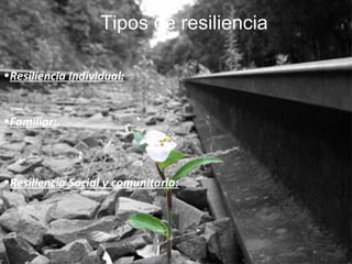 Resiliencia Individual:   Familiar: . Resiliencia Social y comunitaria: Tipos de resiliencia 