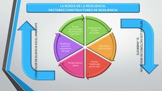 Enriquecer los
vínculos
prosociales
Fijar límites
claros y firmes
Enseñar
"habilidades
para la vida"
Brindar afecto y
apoyo
Establecer y
transmitir
expectativas
elevadas
Brindar
oportunidades
de participación
significativa
LA RUEDA DE LA RESILIENCIA.
FACTORESCONSTRUCTORES DE RESILIENCIA
MITIGARLOSFACTORESDEREISGOEN
ELAMBIENTE
CONSTRUIRRESILIENCIAENELAMBIENTE
 