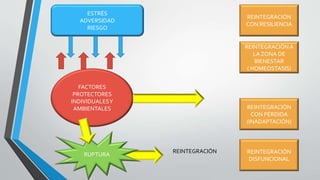 ESTRÉS
ADVERSIDAD
RIESGO
FACTORES
PROTECTORES
INDIVIDUALESY
AMBIENTALES
RUPTURA
REINTEGRACIÓN
CON RESILIENCIA
REINTEGRACIÓNA
LA ZONA DE
BIENESTAR
( HOMEOSTASIS)
REINTEGRACIÓN
CON PÉRDIDA
(INADAPTACIÓN)
REINTEGRACIÓN
DISFUNCIONAL
REINTEGRACIÓN
 