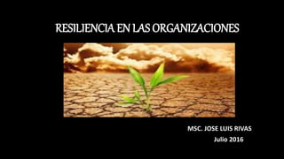 RESILIENCIA EN LAS ORGANIZACIONES
MSC. JOSE LUIS RIVAS
Julio 2016
 