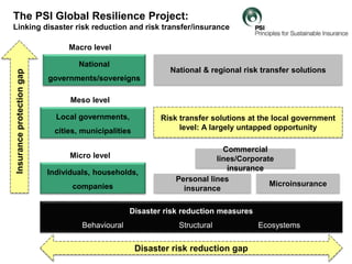Disaster risk reduction measures
Behavioural Structural Ecosystems
The PSI Global Resilience Project:
Linking disaster ris...