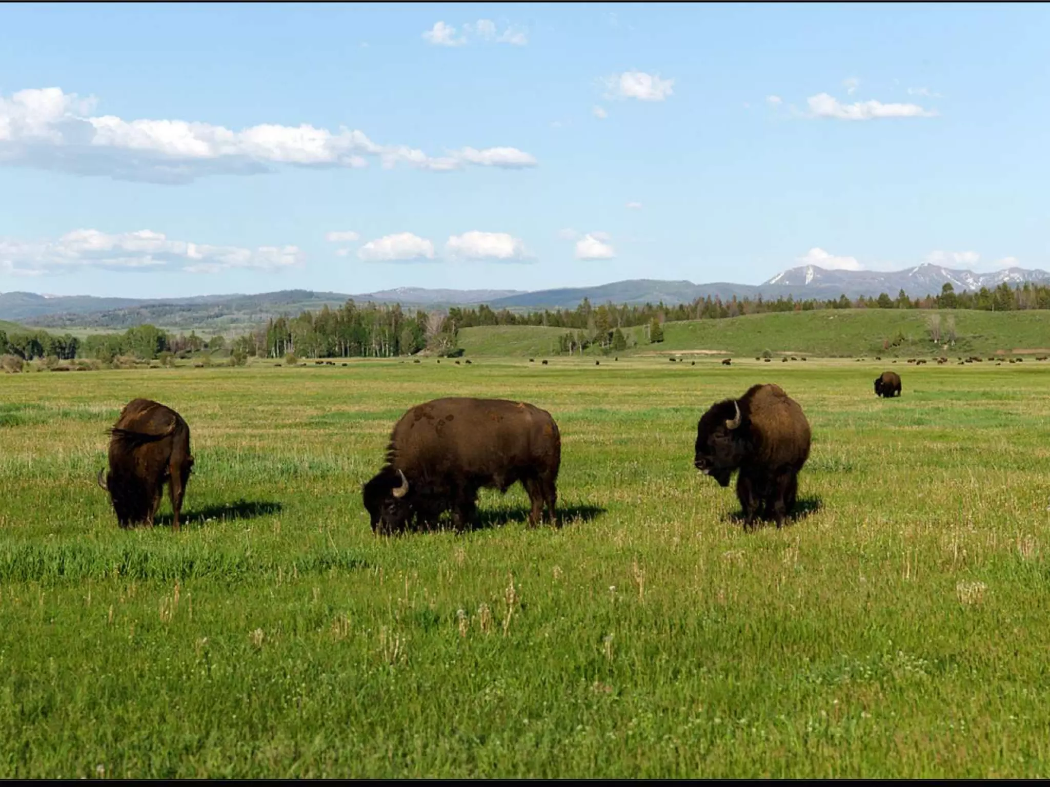 1/25/2013   Serene 2011   40
 