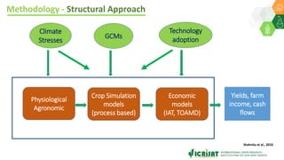 Resilient agricultural households through adaptation of climate smart agriculture practices- By Dr Dakshina Murthy Kadiyala, Innovation Systems for the Drylands, ICRISAT