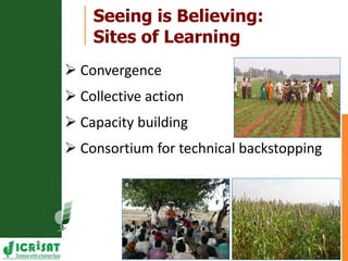 Resilient dryland systems  -A brief overview (Asia)