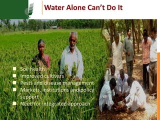 Resilient dryland systems  -A brief overview (Asia)