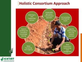 Resilient dryland systems  -A brief overview (Asia)