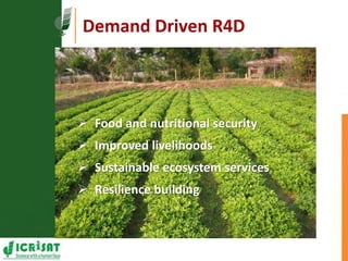Resilient dryland systems  -A brief overview (Asia)