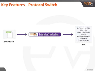 Key Features - Protocol Switch
 