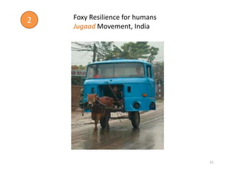 2   Foxy Resilience for humans
    Jugaad Movement, India




                                 15
 