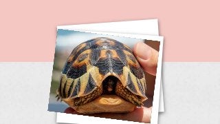 Resilient Loving Flashcards